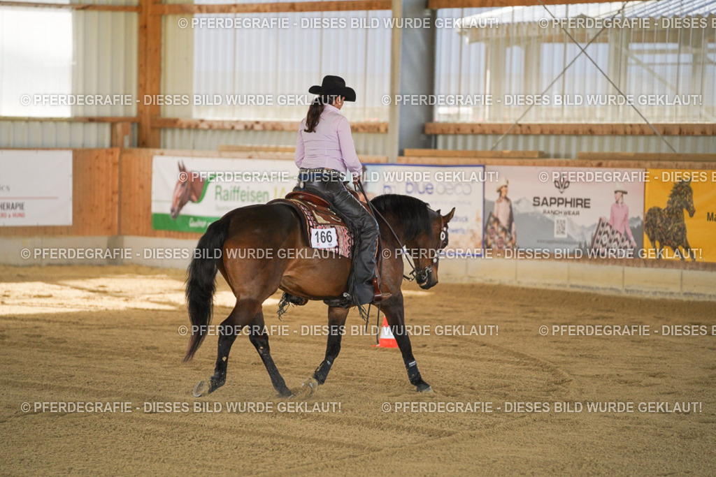 DSC00311 | Pferdegrafie