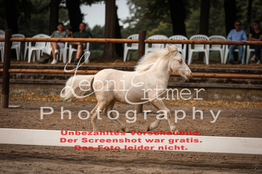 1.Fr00093 | Leoni Ertmer Photography - Realisiert mit Pictrs.com
