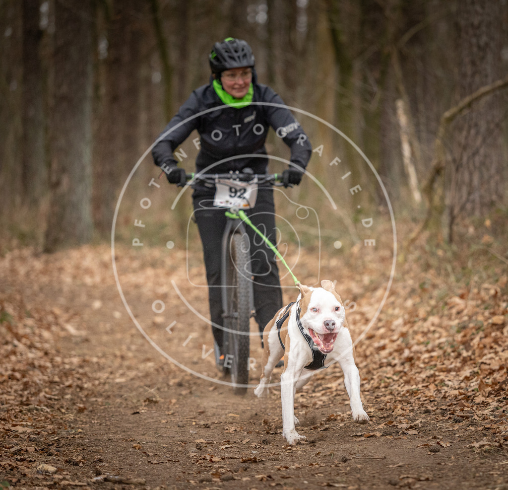 Pfotenfotografie_DV3A7110 | Hundefotografie, Tierfotograf, Pfotenfotografie, Fotoshooting Hund, Hunde Portrait, Hundesport, Hundeportraits, Heideshooting, Hunde, Sportfotograf, Hundefotograf, Turnierhundsport, THS,  - Realisiert mit Pictrs.com