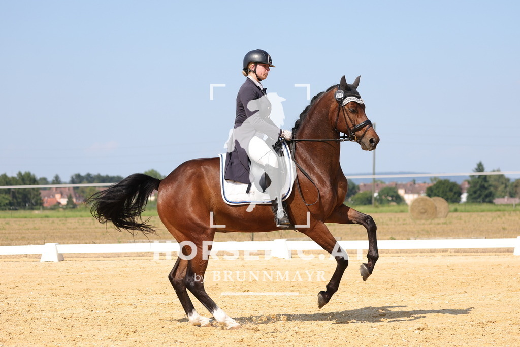 0P6A7907 | Willkommen bei Brunnmayr - Design & Fotografie – Ihrem Spezialisten für Reitturniere und Pferdeveranstaltungen in Oberösterreich, Salzburg und Bayern! Seit über 17 Jahren sind wir leidenschaftlich dabei.
