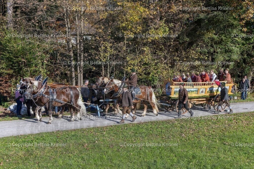 LBT24-620 | Professionelle Fotografin mit Fachgeschäft in Lenggries & im Landkreis Bad Tölz Wolfratshausen. Hochzeitsreportage, Familienfotos, Newborn-, Babybauch-, Pass- & Businessfotos.Alles Rund ums Foto