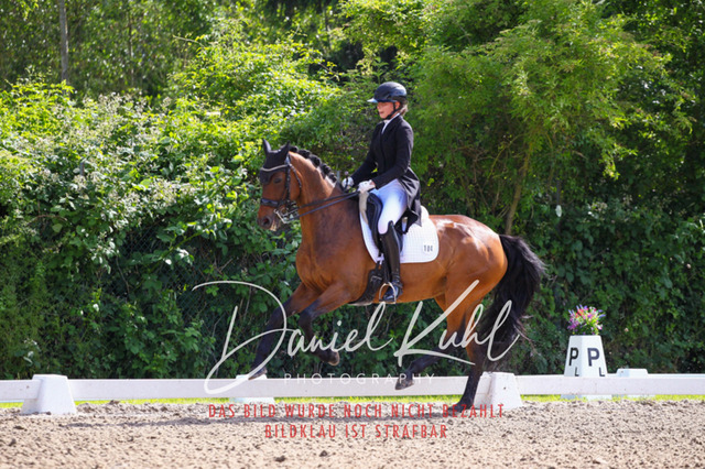 DKP41406 | Turnierfotos kaufen im Webshop von Daniel Kuhl Photography – entdecke professionelle Reitsportfotos aus Turnieren & Events. Hochwertige Turnierbilder online bestellen & sichern. Jetzt Fotos von Reitsportturnieren kaufen!