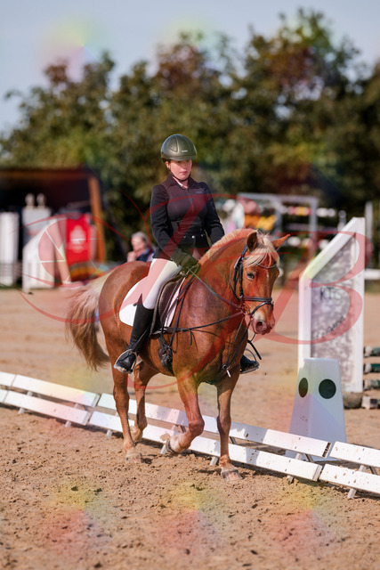 2026_10_03_Siefer-Hof_122041_Z81_20964237 | Professionelle Reitsport-, Turnier- und Eventfotografie von Robert Broda. Galerien mit ausgewählten und bearbeiteten Bildern direkt online ansehen und bestellen.