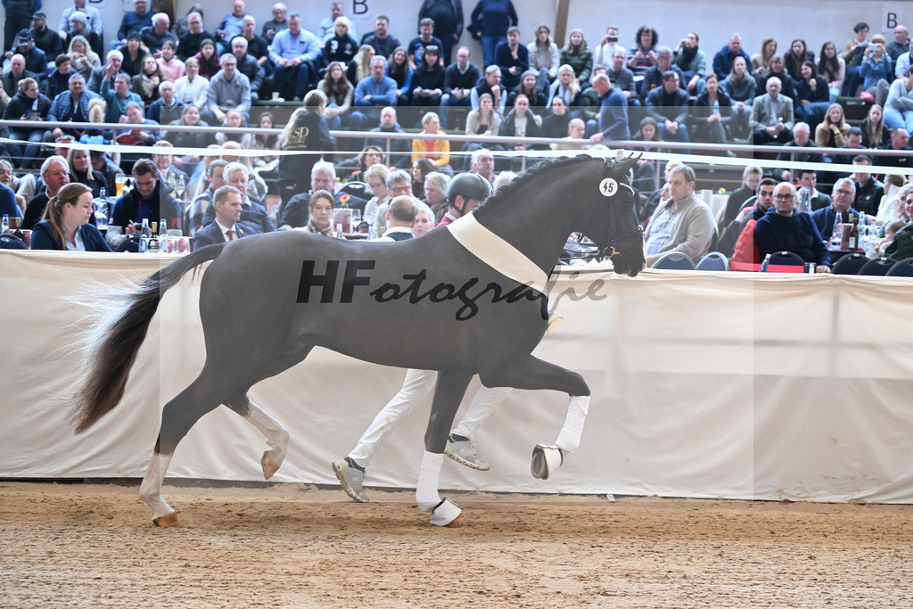 Kat.-Nr. 45 v. Bonds_Schafhof_2252430 | hf-fotografie - Realisiert mit Pictrs.com