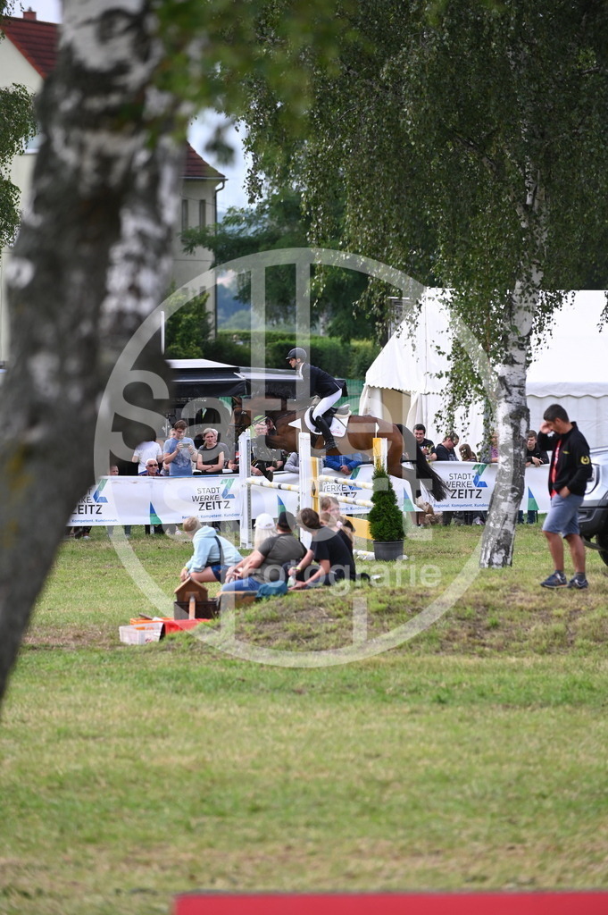 DSC_3459 | sattelsport - Realisiert mit Pictrs.com