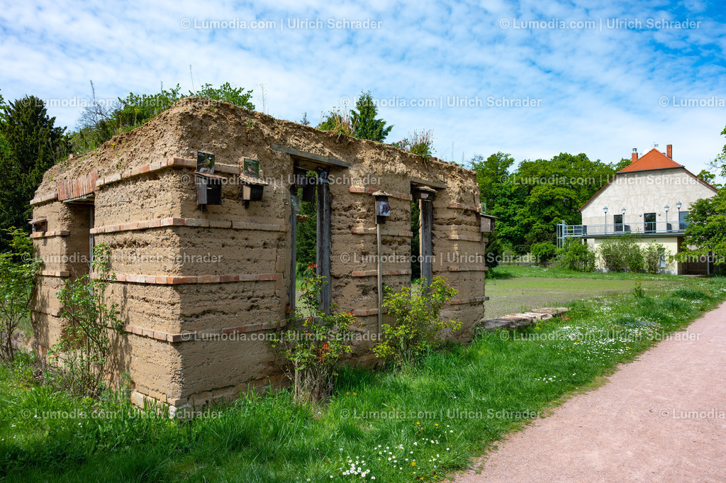 10049-14059 - Landschaftspark Degenershausen | Stockfoto und Bilderpool mit Bildmaterial aus Deutschland, dem Harz, Halberstadt, Quedlinburg, Wernigerode und weltweit. Qualitativ hochwertige und professionelle Fotos anschauen und kaufen. - Realisiert mit Pictrs.com