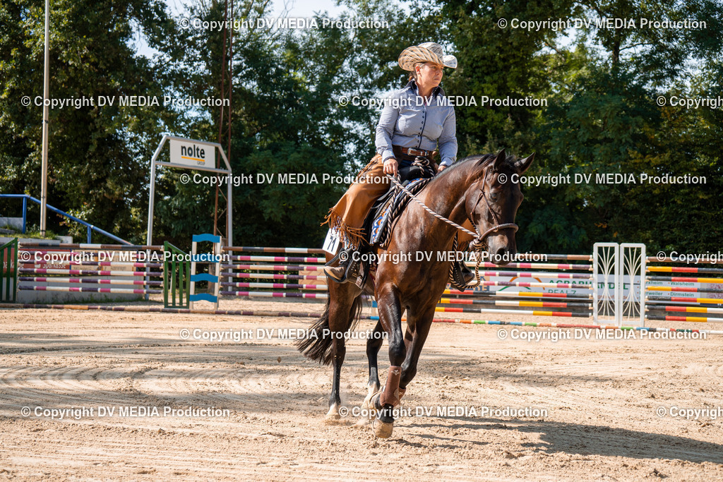 ZH100334 | dv-media-shop - Realisiert mit Pictrs.com