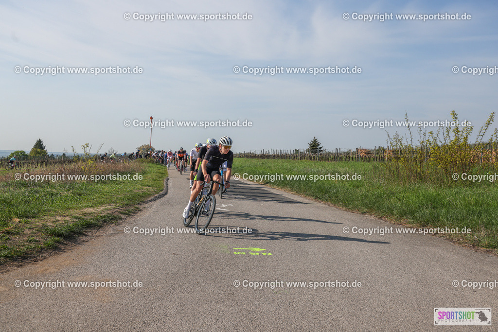 007A8780 | Neusiedlersee Radmarathon #neusiedlerseeradmarathon #neusiedlersee #nrm26 #yourpictrs #sportshot_your_pictrs