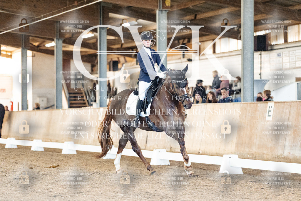 CK906863 | Turnierfotografie Pferdefotografie Trier Rheinland-Pfalz Pferdesport Reitsport Tierfotografie Sportfotografie Pferdevideo Pferdevideografie Equestrianvideography equestrianphotography  - Realisiert mit Pictrs.com