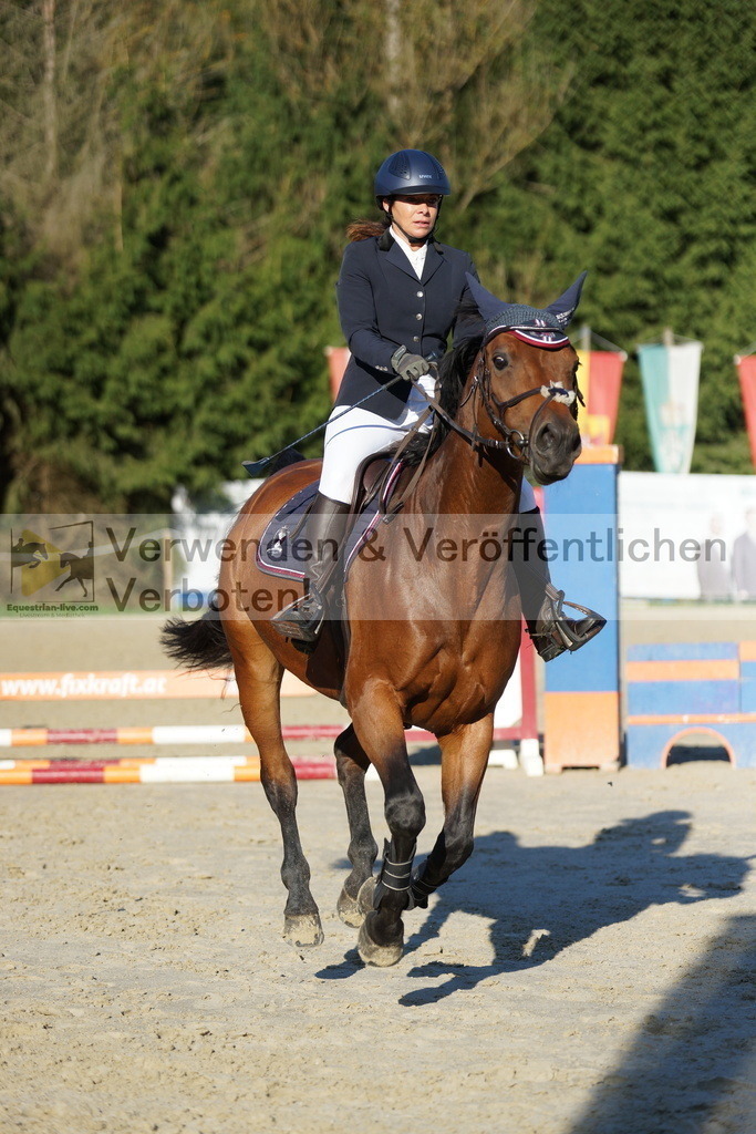 DSC09441 | equestrian-live-com