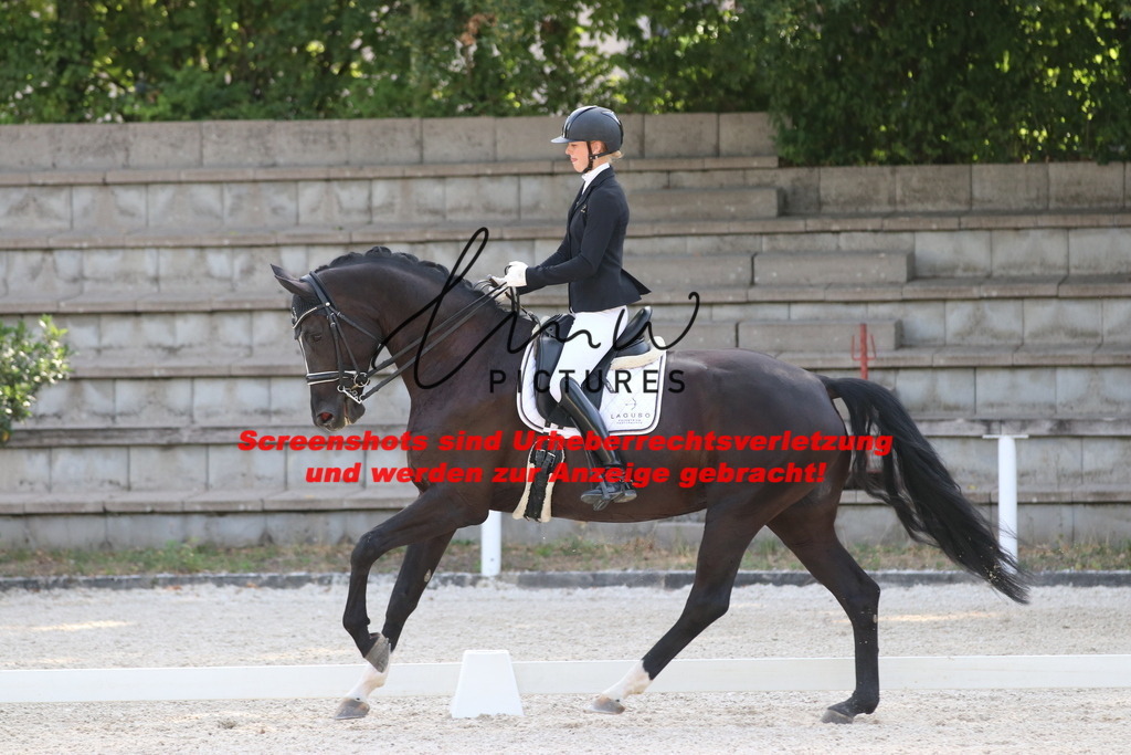 IMG_5783 | lmwpictures - Realisiert mit Pictrs.com