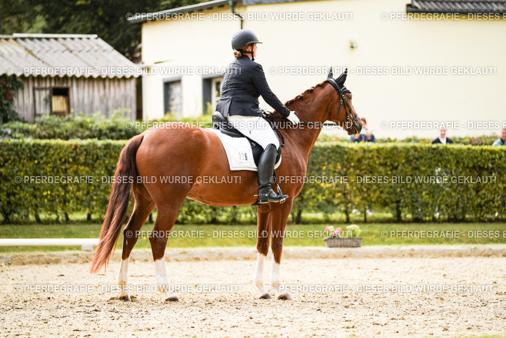 DSC01382 | Pferdegrafie