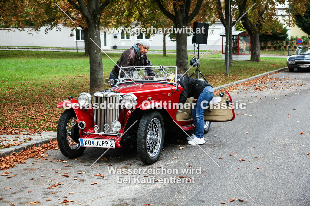 IMG_4387 | Gerhard Witt