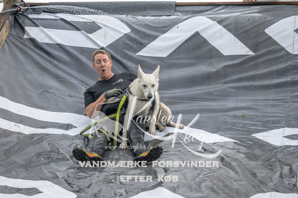 1409_ZZ94557 | kk-dogfotos