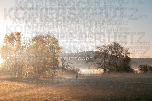 _DSC4252 | "Entdecken Sie atemberaubende Bilder von Stuttgart im Fotowerk Stuttgart! Kaufen Sie hochwertige Fotos auf Leinwand oder laden Sie digitale Downloads für Ihre Wohnung oder Büros herunter.  - Realisiert mit Pictrs.com