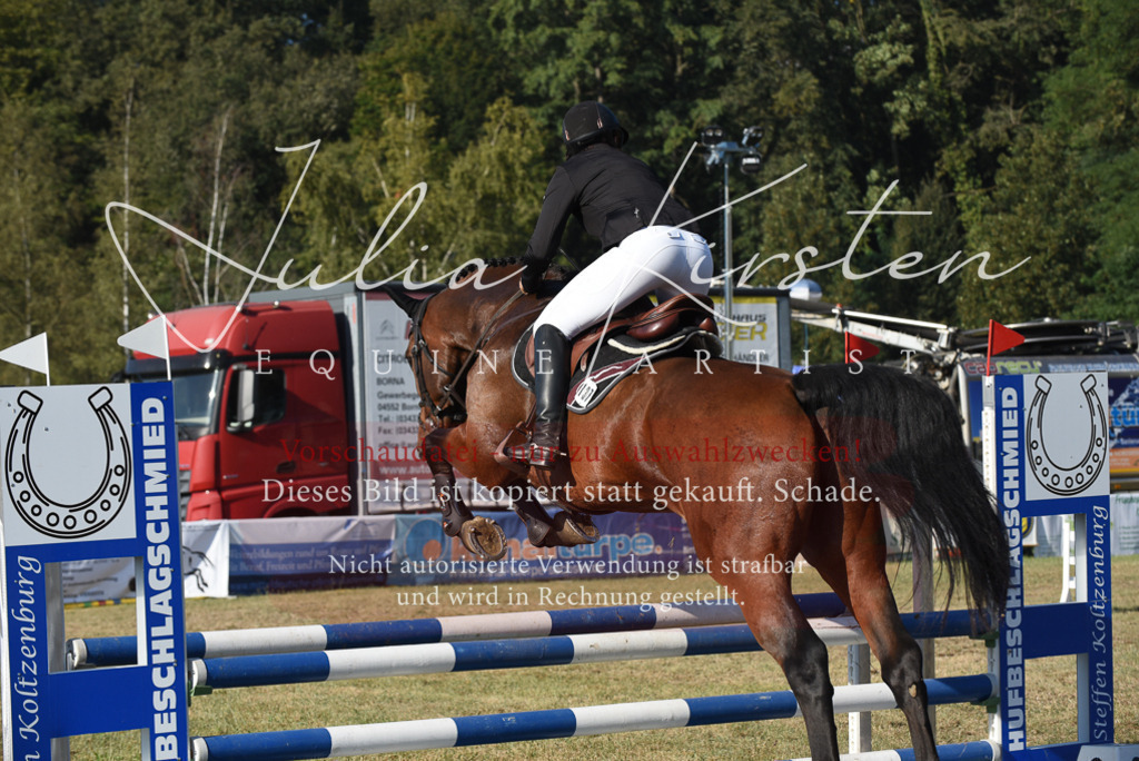DSC_5188 | Pferde- und Turnierfotografie in Westsachsen. Pferdeportraits, Auftragszeichnungen und intuitive Kunst.