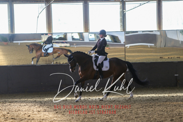 IMG_2151 | Turniersportfotografie; Pferdefotografie; Dressurfotografie