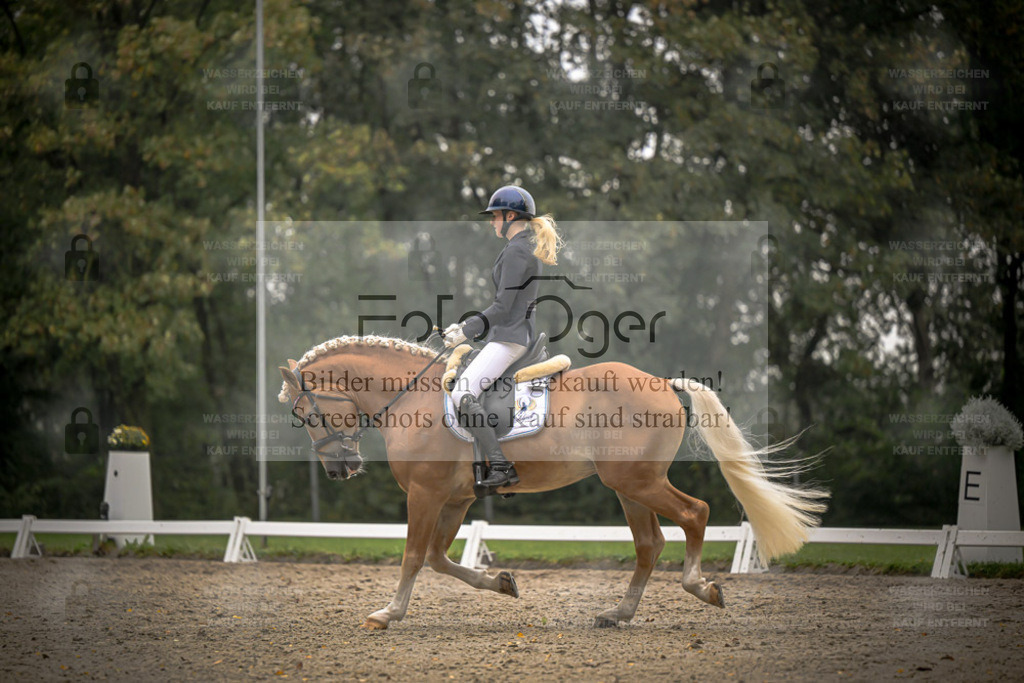 FOTO OGER | Entdecke hochwertige Reitturnierfotos von Foto Oger. Professionell, emotional und authentisch – jetzt Lieblingsmomente im Shop bestellen. - Realisiert mit Pictrs.com