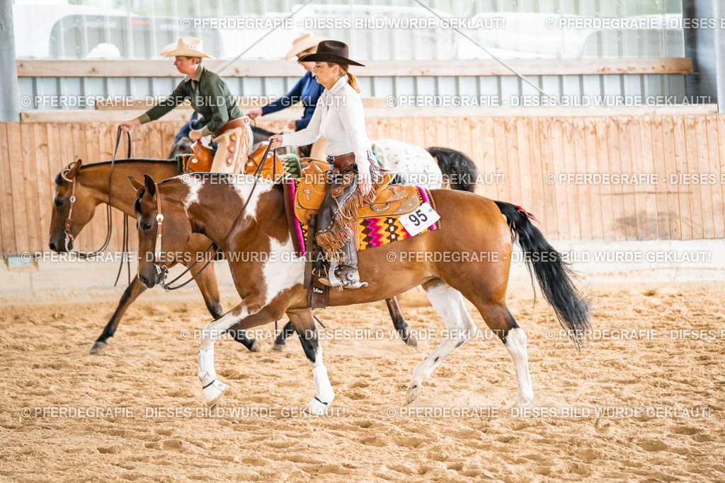 DSC00994 | Pferdegrafie