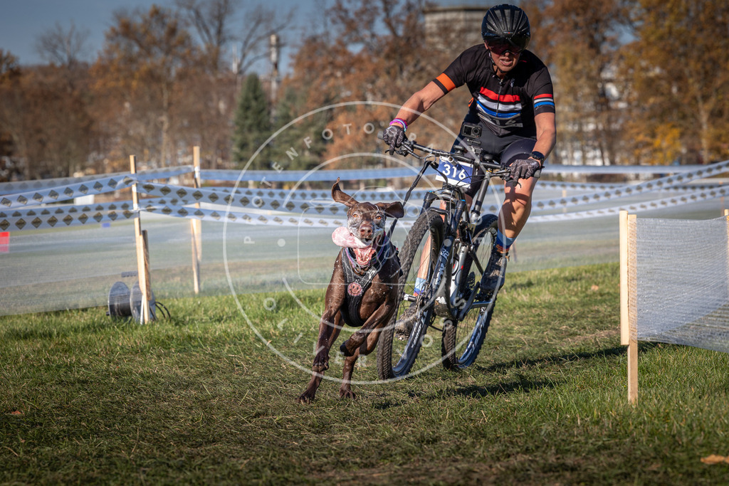 CaniXpix_0L8A5632 | Hundefotografie, Tierfotograf, Pfotenfotografie, Fotoshooting Hund, Hunde Portrait, Hundesport, Hundeportraits, Heideshooting, Hunde, Sportfotograf, Hundefotograf, Turnierhundsport, THS,  - Realisiert mit Pictrs.com