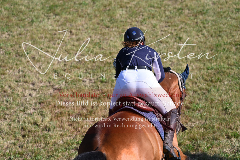 DSC_2456 | Pferde- und Turnierfotografie in Westsachsen. Pferdeportraits, Auftragszeichnungen und intuitive Kunst.