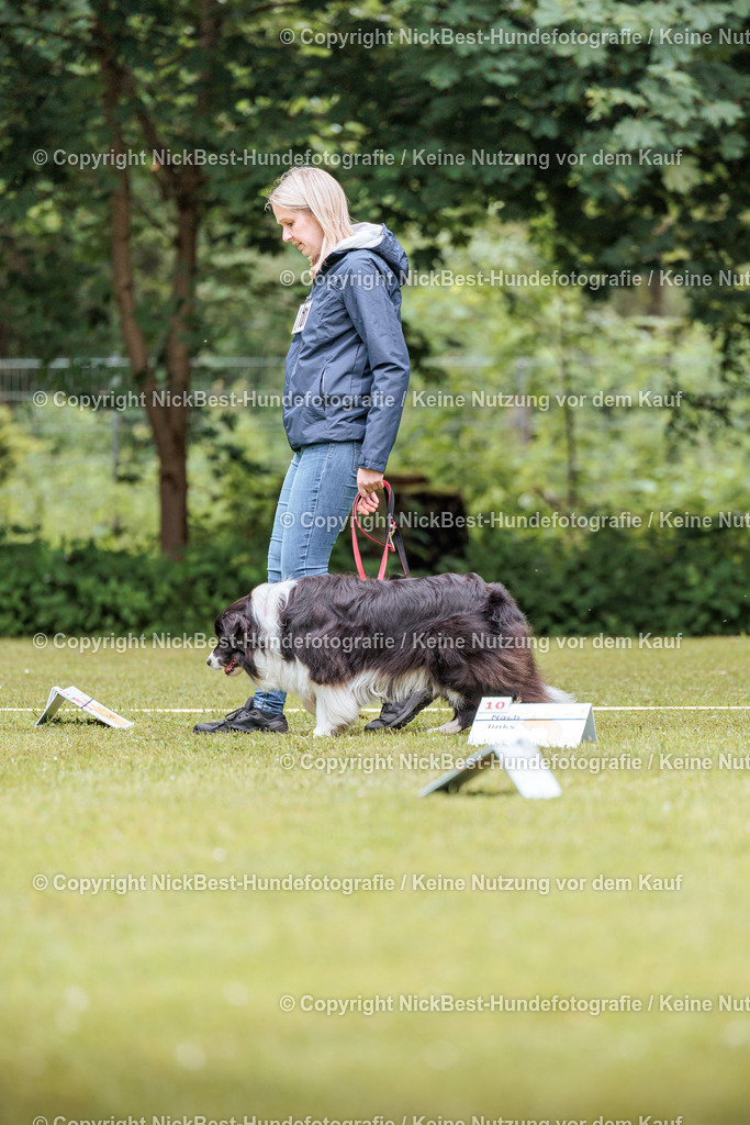 RO-Blumenthal-2026-Nickbest-Hundefotografie-5152 | Dein Hund! Dein Moment! Deine Erinnerungen! Hundefotografie in Bremen Blumenthal. Ich fange die besonderen Momente deines Vierbeiners ein – ob Indoor mit Blitzanlage oder in der freien Natur. Sicher dir dein Moment und dein Termin für eure Erinnerungen.