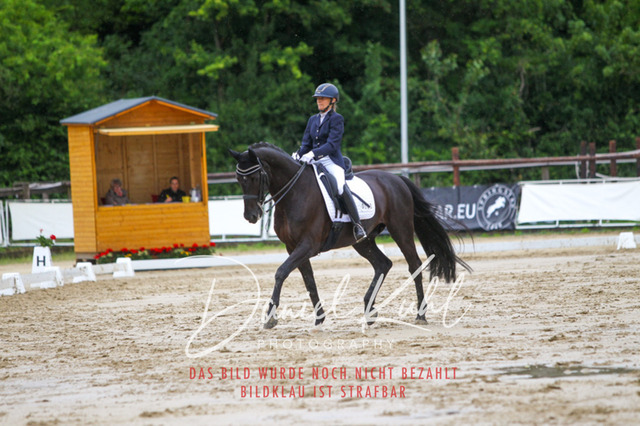 DKP46858 | Turniersportfotografie; Pferdefotografie; Dressurfotografie