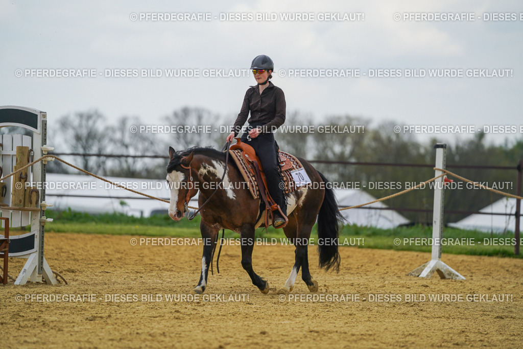 DSC06523 | Pferdegrafie