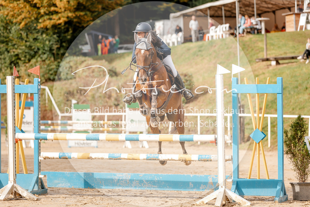 3I6A6447 | Stimmungsvolle Portraits und Reitsportfotografie im Ruhrgebiet und im Münsterland.

Pferdefotografie, Hundefotografie, Tierfotografie, Reportagen, Portraits von Tier und Mensch, Turnierfotografie in Bochum, Recklinghausen, Marl, Haltern am See, Dülmen.. - Realisiert mit Pictrs.com