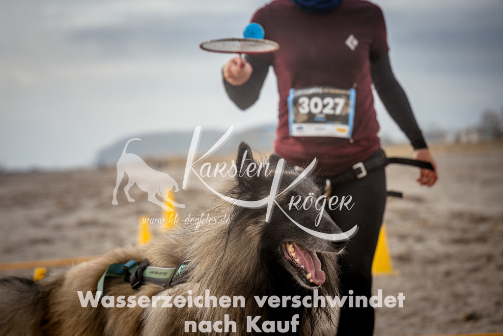 1116_ZZ97565 | kk-dogfotos