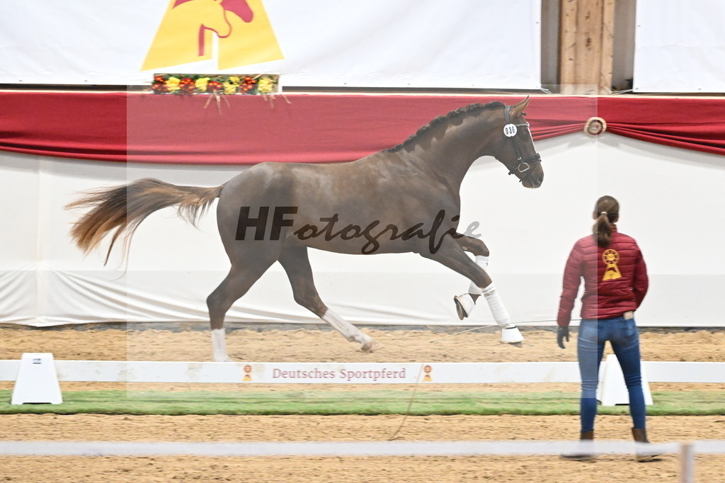 Kat.-Nr. 36 v. Benicio_Galneder_3260208 | hf-fotografie - Realisiert mit Pictrs.com
