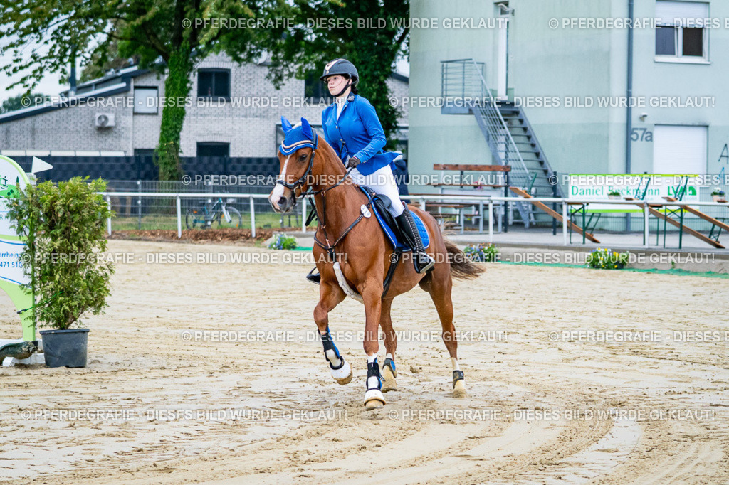 DSC01044 | Pferdegrafie