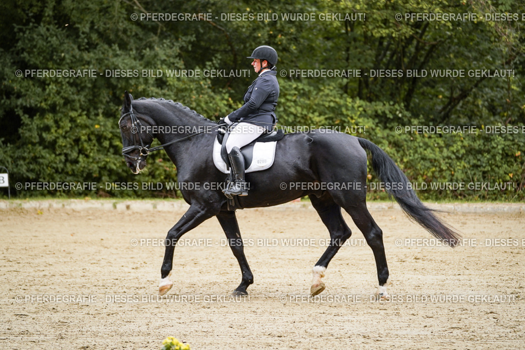 DSC08821 | Pferdegrafie