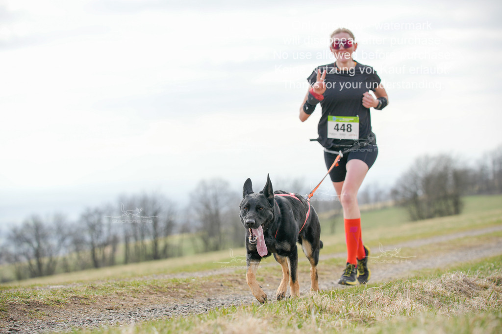 CaniXRunSA-227 | stephaniefillaphotographie - Realisiert mit Pictrs.com