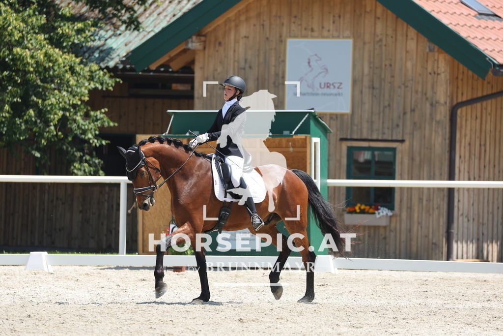 0P6A1616 | Willkommen bei Brunnmayr - Design & Fotografie – Ihrem Spezialisten für Reitturniere und Pferdeveranstaltungen in Oberösterreich, Salzburg und Bayern! Seit über 17 Jahren sind wir leidenschaftlich dabei.