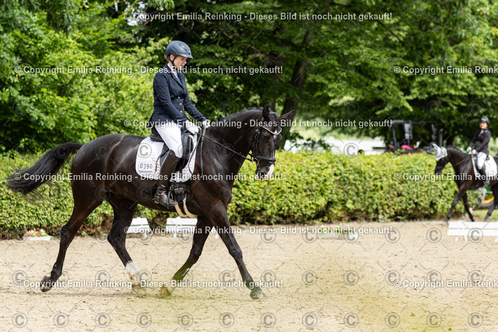 CL5A2026 | Emilia Reinking Fotografie - Realisiert mit Pictrs.com