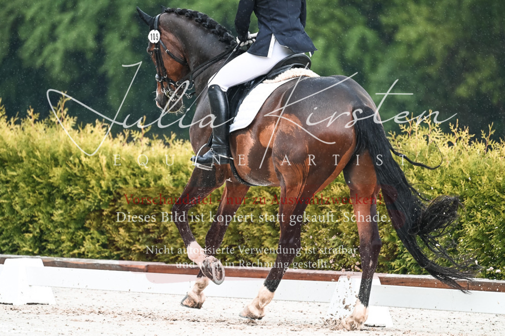 DSC_4173 | Pferde- und Turnierfotografie in Westsachsen. Pferdeportraits, Auftragszeichnungen und intuitive Kunst.