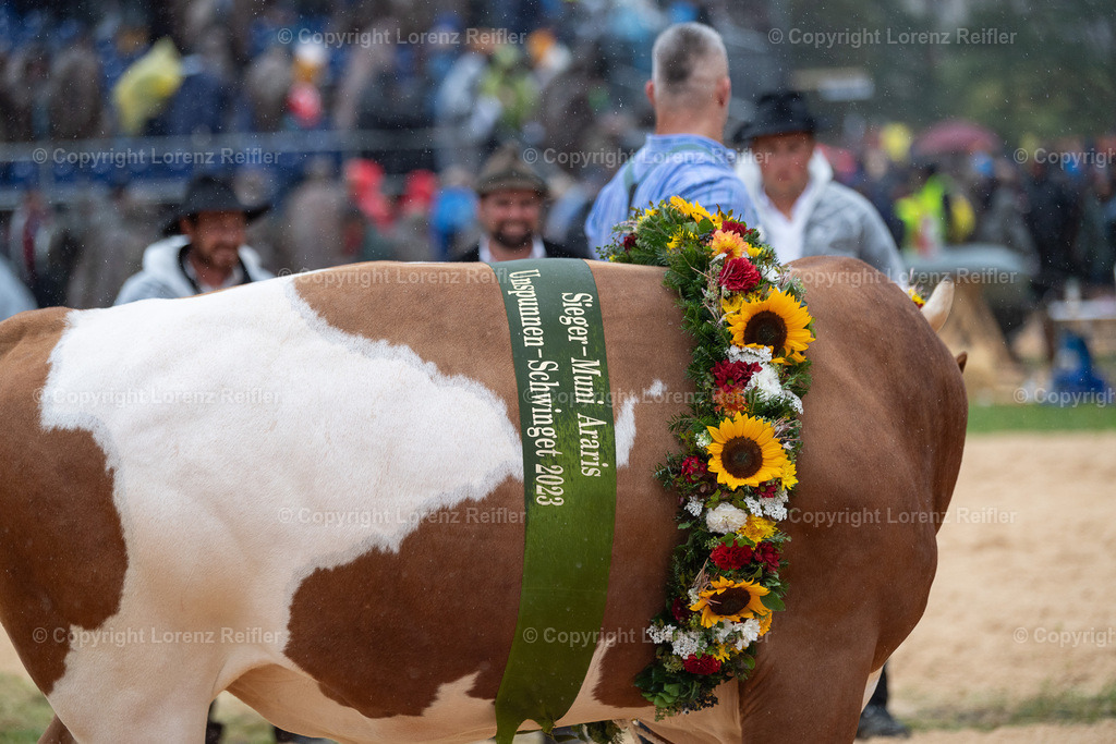 Schwingen -  Unspunnen 2023 | Interlaken, 27.8.23, Schwingen - Unspunnen.