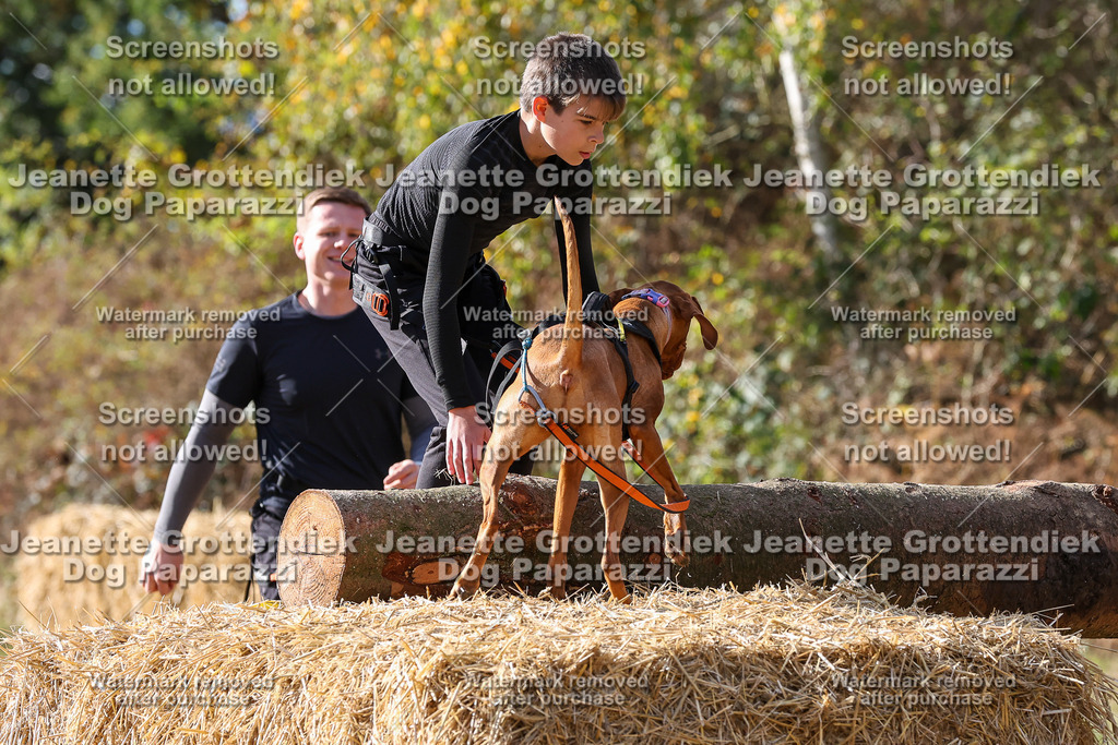 Dog Paparazzi - Strongdog 10-25-5472 | Dog Paparazzi Jeanette Grottendiek Fotografie & Videografie - Realisiert mit Pictrs.com