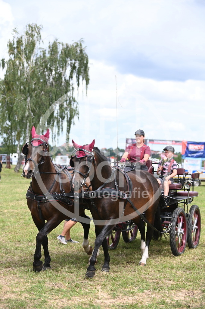 DSC_6877 | sattelsport - Realisiert mit Pictrs.com