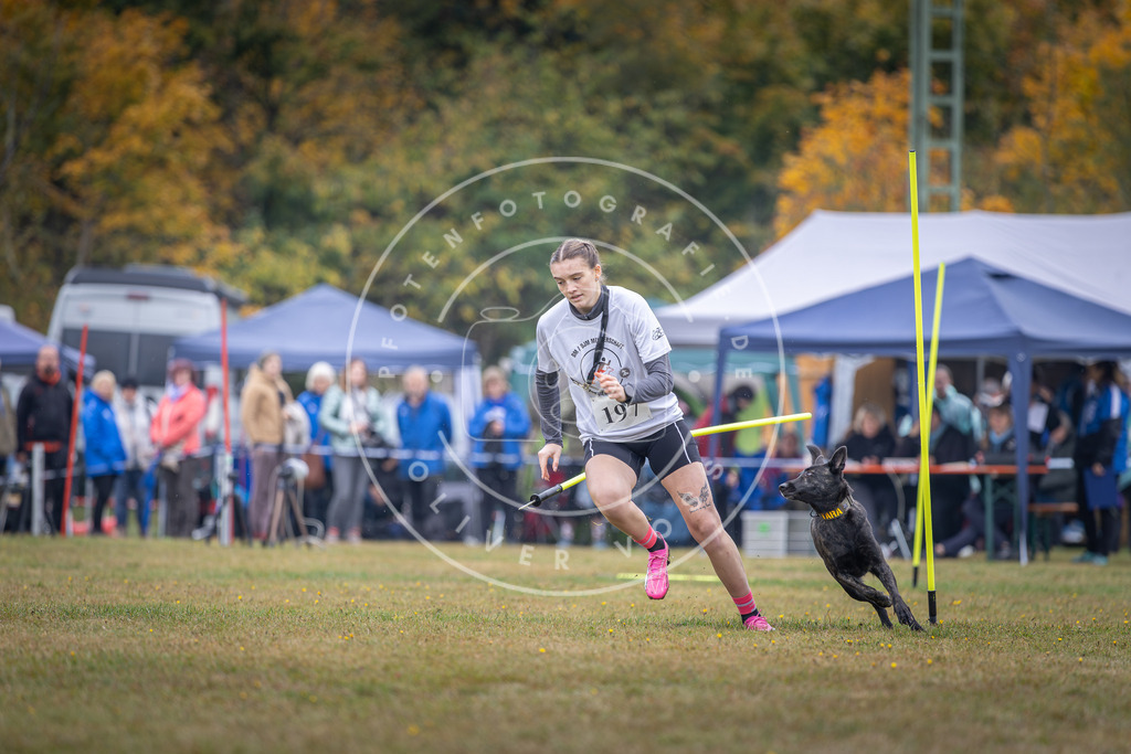 Pfotenfotografie_DV3A1090 | Hundefotografie, Tierfotograf, Pfotenfotografie, Fotoshooting Hund, Hunde Portrait, Hundesport, Hundeportraits, Heideshooting, Hunde, Sportfotograf, Hundefotograf, Turnierhundsport, THS,  - Realisiert mit Pictrs.com