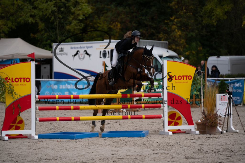 A7V00516 | Pferdefotograf