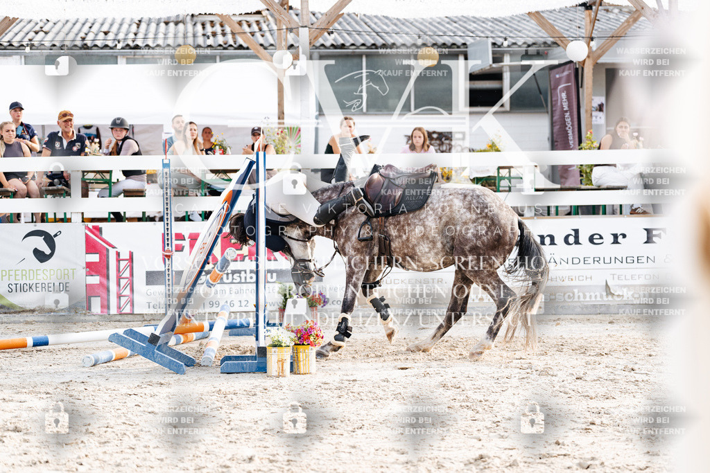 CK907044 | Turnierfotografie Pferdefotografie Trier Rheinland-Pfalz Pferdesport Reitsport Tierfotografie Sportfotografie Pferdevideo Pferdevideografie Equestrianvideography equestrianphotography  - Realisiert mit Pictrs.com