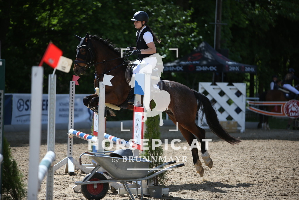PP011628 | Willkommen bei Brunnmayr - Design & Fotografie – Ihrem Spezialisten für Reitturniere und Pferdeveranstaltungen in Oberösterreich, Salzburg und Bayern! Seit über 17 Jahren sind wir leidenschaftlich dabei.