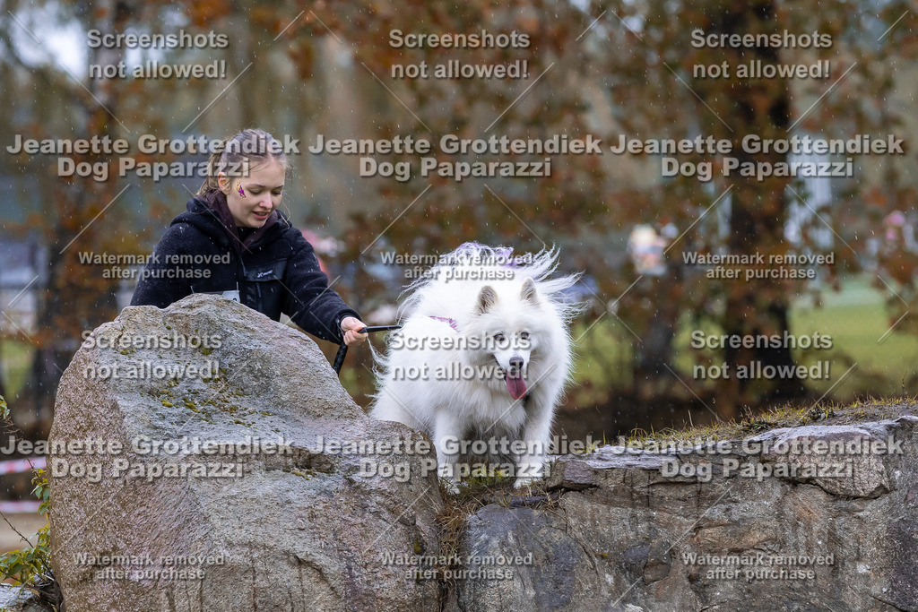 Dog Paparazzi - SD CaniX Championship 2025-756 | Dog Paparazzi Jeanette Grottendiek Fotografie & Videografie - Realisiert mit Pictrs.com