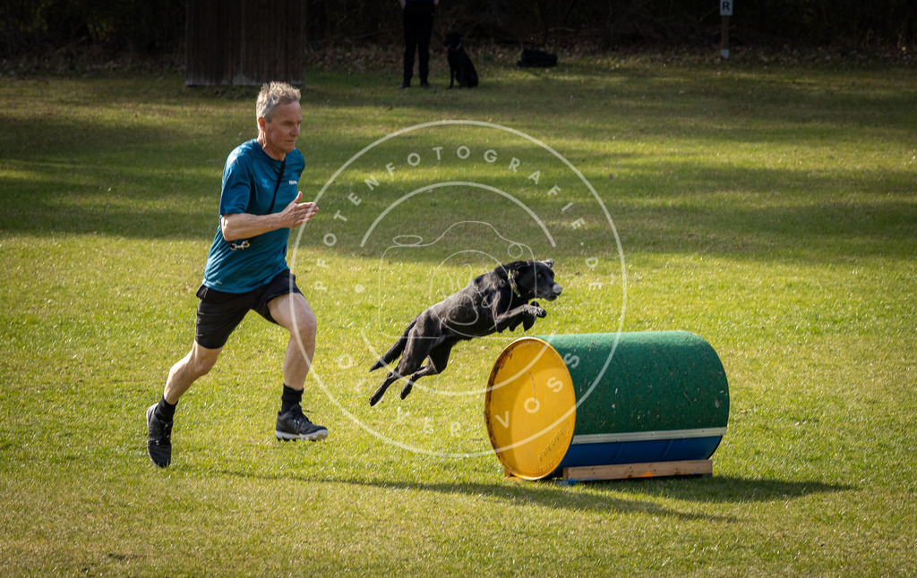 Pfotenfotografie_DV3A2788 | Hundefotografie, Tierfotograf, Pfotenfotografie, Fotoshooting Hund, Hunde Portrait, Hundesport, Hundeportraits, Heideshooting, Hunde, Sportfotograf, Hundefotograf, Turnierhundsport, THS,  - Realisiert mit Pictrs.com