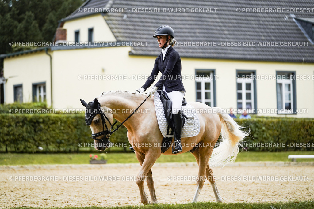 DSC02077 | Pferdegrafie