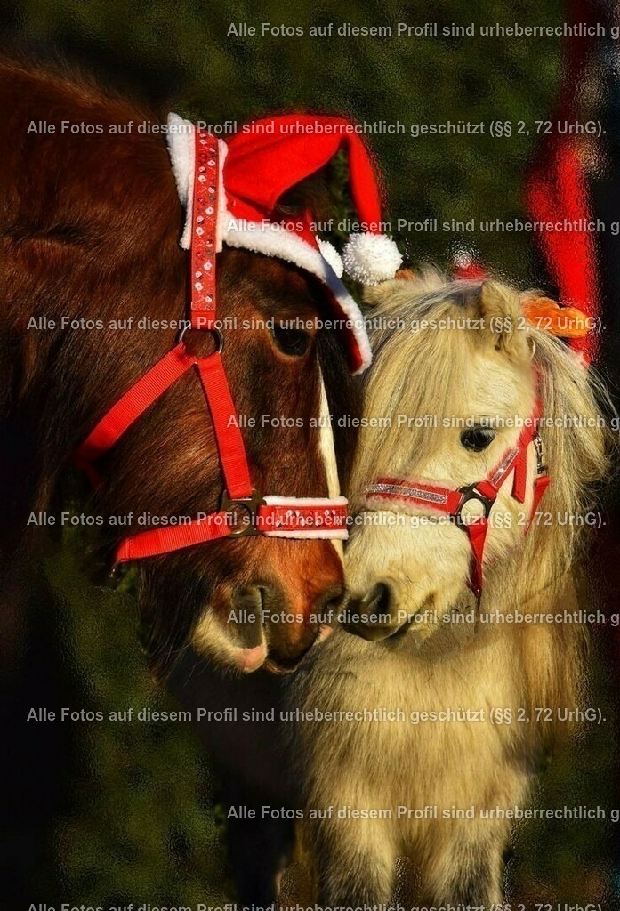7bbadb8f53e8467c3748f8be3810898c | krollfotografie - Realisiert mit Pictrs.com