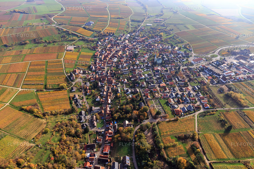 Luftbild: Winzerdorfübersicht von Westen an herbstlich gefärbten Weinbergen entlang der Weinstr im Ortsteil Schweigen in Schweigen-Rechtenbach im Bundesland Rheinland-Pfalz in Deutschland. Foto: IMG_123786.jpg vom 07.11.2020 durch Werner Riehm/FLY-FOTO.de