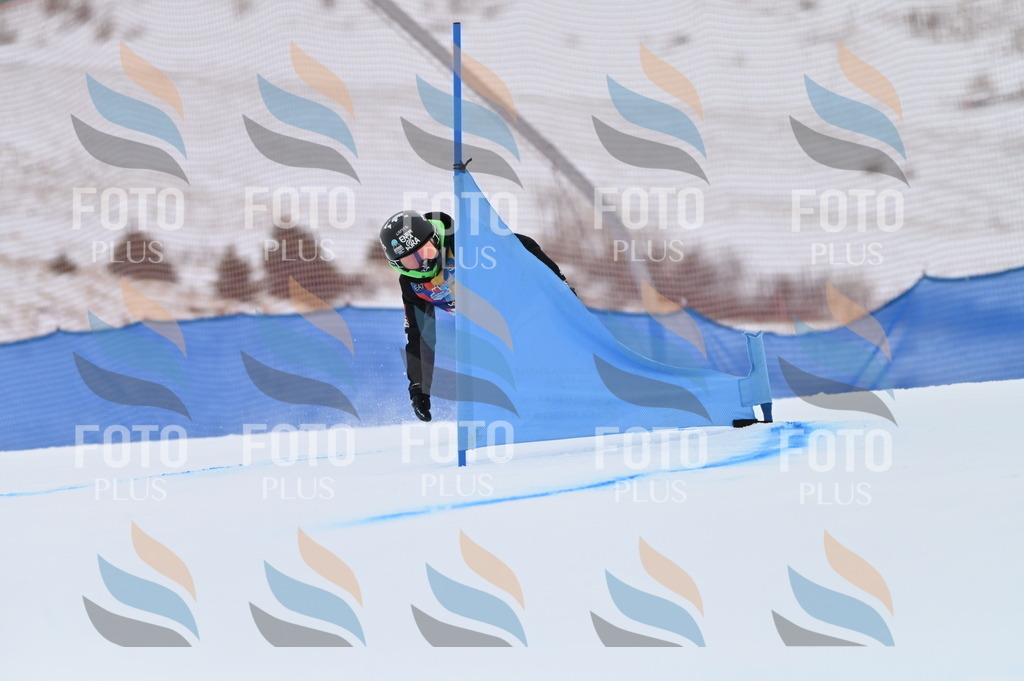 BGV_4524 | holidayphoto